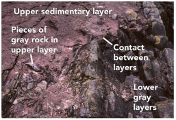 What can you interpret about the relative age of the rocks and features in this photograph?