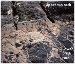 <strong>Which of the following are valid criteria for inferring the relative ages of the two rock types in this photograph? </strong> A)The black rock is younger because it is on the bottom. B)The tan rock is younger because it contains pieces of the black rock. C)The black rock is younger because it is crosscut by the tan rock. D)The evidence is contradictory about the relative ages of these two rocks.