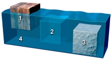 <strong>This figure shows three blocks in water.Which of these materials is the least dense? </strong> A)block 1 B)block 2 C)block 3 D)the water 4