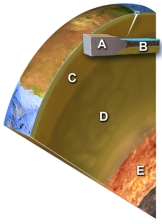 <strong>Which layer on this figure is the upper mantle? </strong> A)A B)B C)C D)D E)E