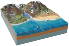 <strong>Which of the following locations would contain a wide variety of sediment,from large angular blocks to fine rock powder,produced from grinding of the rocks? </strong> A)location 1,along the margins of a glacier B)location 2,along a steep mountain front C)location 3,in sand dunes D)location 4,along a beach E)location 5,on relatively deep seafloor
