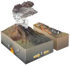 <strong>Which of the following locations would form a hydrothermal rock? </strong> A)location 1 B)location 2 C)location 3 D)location 4 E)locations 2 and 3