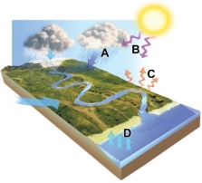 <strong>Which arrows in this figure indicates ultraviolet energy, an external energy source?  </strong> A) A B) B C) C D) D <div style=padding-top: 35px> 