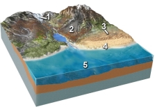 <strong>Which of the following locations would contain a wide variety of sediment, from large angular blocks to fine rock powder, produced from grinding of the rocks?  </strong> A) location 1, along the margins of a glacier B) location 2, along a steep mountain front C) location 3, in sand dunes D) location 4, along a beach E) location 5, on relatively deep seafloor <div style=padding-top: 35px> 