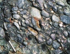 <strong>This indicates to us that the environment in which this rock formed was likely: </strong> A) a river channel B) a steep mountain front