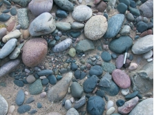 <strong>The sediment in this photograph most likely formed in: </strong> A) a steep mountain front B) a river C) a sand dune D) deep water conditions on the seafloor