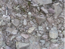 <strong>The sediment in this photograph mostly likely formed in: </strong> A) a steep mountain front B) a river C) a sand dune D) deep water conditions on the seafloor