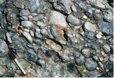 <strong>The rock in this photograph mostly likely formed in: </strong> A) a steep mountain front B) a river C) a sand dune D) deep water conditions on the seafloor