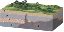 <strong>What is the oldest unit or feature in this figure? </strong> A) 1 B) 2 C) 3 D) 4 E) 5