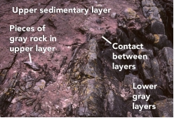 <strong>What can you interpret about the relative age of the rocks and features in this photograph? </strong> A) The upper sedimentary layer is younger. B) The lower gray layers are younger. C) The layers are the same age because the boundary is so irregular. D) It is not possible to tell the relative ages of the layers.
