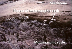 <strong>What can you interpret about the relative ages of the rocks and features in this photograph? </strong> A) The sandstone is older because it is lighter in color. B) The metamorphic rock is older because it is rougher from longer weathering. C) The metamorphic rock is older because pieces of it are in the sandstone. D) The sandstone is older because it is on top.