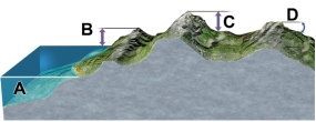 <strong>Which letter on the accompanying figure indicates the amount of topographic relief? </strong> A) A B) B C) C D) D