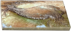 <strong>Why does the Tibetan Plateau, shown in this figure, have a high elevation? </strong> A) transform faulting B) seafloor spreading C) continental rifting D) continental collision E) hot-spot activity