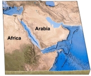 <strong>How did the Red Sea, shown between Arabia and Africa in this figure, form? </strong> A) subduction of Arabia beneath Africa B) subduction of Africa beneath Arabia C) a continental collision D) continental rifting followed by seafloor spreading E) transform faulting followed by a continental collision