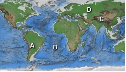 <strong>Which areas) on this world map are likely to be near a plate boundary? </strong> A) A and B B) A and D C) B and D D) C and D E) A, B, and C only