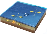 <strong>What types of plate boundaries are shown in this figure? </strong> A) divergent B) convergent C) transform D) divergent and transform E) convergent and divergent