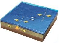 <strong>What type of plate boundary is depicted by the smaller arrows in the center of this figure? </strong> A) divergent boundary B) convergent boundary C) transform boundary D) hot spot E) none of these