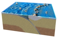 <strong>Which feature on this figure is formed by melting of mantle above the slab? </strong> A) A B) B C) C D) D E) E