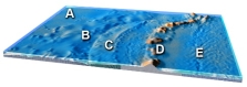 <strong>Which feature on this figure is formed by melting of mantle above the slab? </strong> A) A B) B C) C D) D E) E
