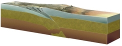 <strong>On this figure of a continental collision, which continent would have had subduction-related magmatism before the collision? </strong> A) the continent on the left B) the continent on the right C) both continents D) neither continent