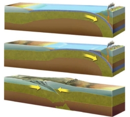<strong>The convergence of two continental masses is known as an): </strong> A) continental collision B) subduction C) conduction D) divergent collision