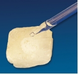 <strong>What mineral test is shown in this photograph?  </strong> A) scratch test B) effervescence C) streak D) magnetism E) specific gravity <div style=padding-top: 35px> 