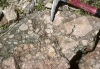 <strong>What texture is displayed by the igneous rock in this photograph? </strong> A) vesicles B) breccia C) porphyritic D) glassy E) none of these