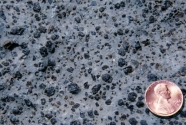 <strong>What does this texture indicate about the formation of this rock? </strong> A) It formed from an explosive pyroclastic eruption. B) The rock solidified at great depth. C) The magma formed some crystals before rising closer to the surface and solidifying. D) The magma had abundant dissolved gas.