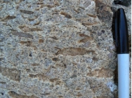 <strong>What does this welded texture indicate about the formation of this rock? </strong> A) It formed from an explosive pyroclastic eruption. B) The rock solidified at great depth. C) The magma formed some crystals before rising closer to the surface and solidifying. D) The magma had abundant dissolved gas.