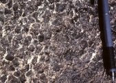 <strong>Which of the following rock photographs depicts a felsic igneous rock?</strong> A) B) C) D)