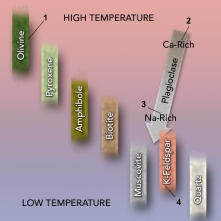<strong>On this figure of Bowen's Reaction Series, which mineral would crystallize last from magma? </strong> A) 1, olivine B) 2, calcium-rich plagioclase C) 3, sodium-rich plagioclase D) 4, K-feldspar