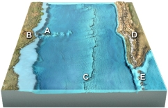 For the letters on this figure, choose the likely cause of melting for Site B.  