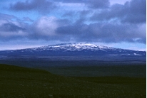 <strong>This volcano is broad and low, and is composed of basaltic lava flows. What kind of volcano is it? </strong> A) scoria cone B) shield volcano C) composite volcano D) volcanic dome E) caldera
