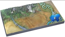<strong>Which of the following sites would have sand and silt deposited by slowing of the current? </strong> A) mountains at A B) glacial streams at B C) braided river at C D) delta at D E) lake at E
