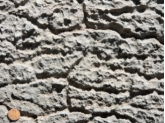 <strong>What type of weathering is best expressed in this weathered limestone? </strong> A) oxidation B) dissolution C) hydrolysis D) biologic activity