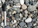 <strong>What is the best explanation for the shape of these clasts? </strong> A) they are composed of relatively soft, soluble materials B) they accumulated on a steep slope C) they have been moved by the wind and rounded by blowing sand in sand dunes D) they have been transported a significant distance