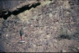 <strong>What type of rock is shown in this photograph? </strong> A) conglomerate B) breccia C) sandstone D) siltstone or shale