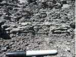 <strong>What type of rock is shown in this photograph? </strong> A) conglomerate B) breccia C) sandstone D) siltstone or shale