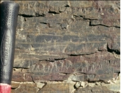 <strong>This photograph shows chert. How does it form? </strong> A) evaporation of water in a lake or sea B) accumulation of microscopic organisms composed of calcium carbonate C) precipitation from seawater early in Earth's history D) accumulation of silica-rich organisms or mixing of seawater and groundwater
