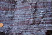 <strong>This photograph shows an iron formation. How does it form? </strong> A) evaporation of water in a lake or sea B) accumulation of microscopic organisms composed of calcium carbonate C) precipitation from seawater early in Earth's history D) accumulation of silica-rich organisms or mixing of seawater and groundwater