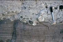 <strong>What can you infer from this contact between an overlying conglomerate and underlying sandstone? </strong> A) The conglomerate was deposited by the wind. B) There was a gradual switch from marine to nonmarine conditions. C) There was a gradual switch from nonmarine to marine conditions. D) There was an abrupt event, such as a flood.