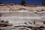 <strong>The large cross beds in these rocks indicate that the sediment was deposited: </strong> A) deep in the ocean B) in a lake with a gently sloping bottom C) by the wind or a water current D) by a debris flow E) all of these