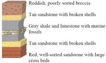 Which of the following interpretations is consistent with the character and sequence of rocks in this figure?