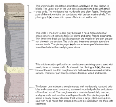 Using the stratigraphic section and photographs located in the textbook Chapter 7 Investigation), determine the possible environments of deposition for the upper sandstone and mudstone unit.