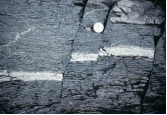 <strong>What type of deformation is shown in this photograph? </strong> A) displacement B) rotation C) internal strain of the rock D) columnar joints