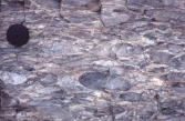 <strong>What type of deformation is shown in this photograph? </strong> A) displacement B) rotation C) internal strain of the rock D) columnar joints