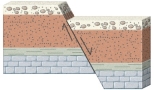 <strong>What type of fault is shown in this figure? </strong> A) normal fault B) reverse fault C) strike-slip fault D) thrust fault