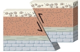 <strong>What type of stress could form the fault in this figure? </strong> A) confining pressure B) horizontal tension C) vertical tension D) horizontal compression E) any of these