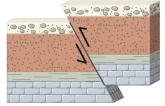 <strong>What type of fault is shown in this figure? </strong> A) normal fault B) reverse fault C) strike-slip fault