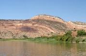 <strong>What type of structure is shown in this figure? </strong> A) thrust fault B) anticline C) syncline D) monocline E) basin